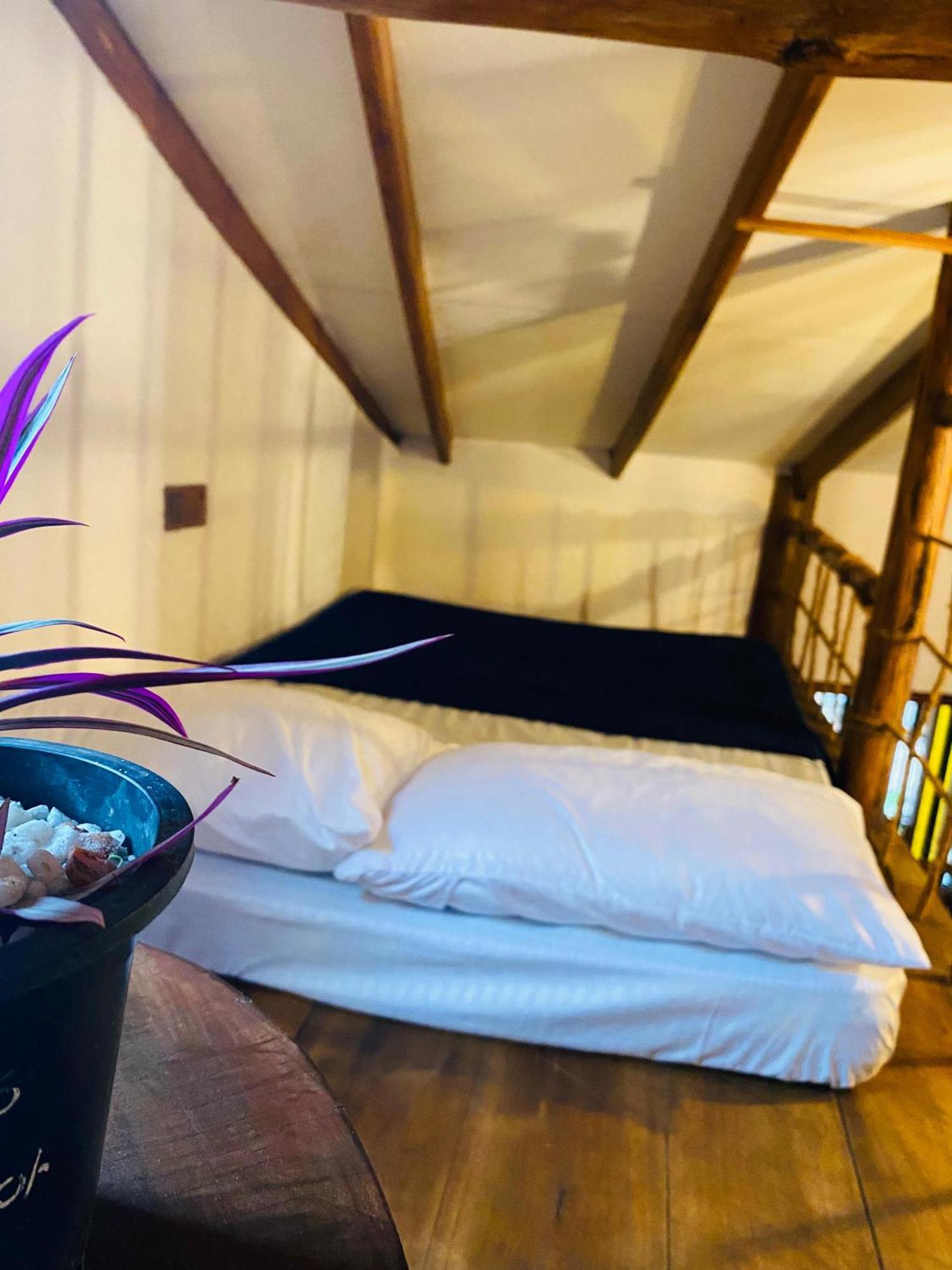 Kandy Food Lovers Home Stay By Ags Exteriör bild